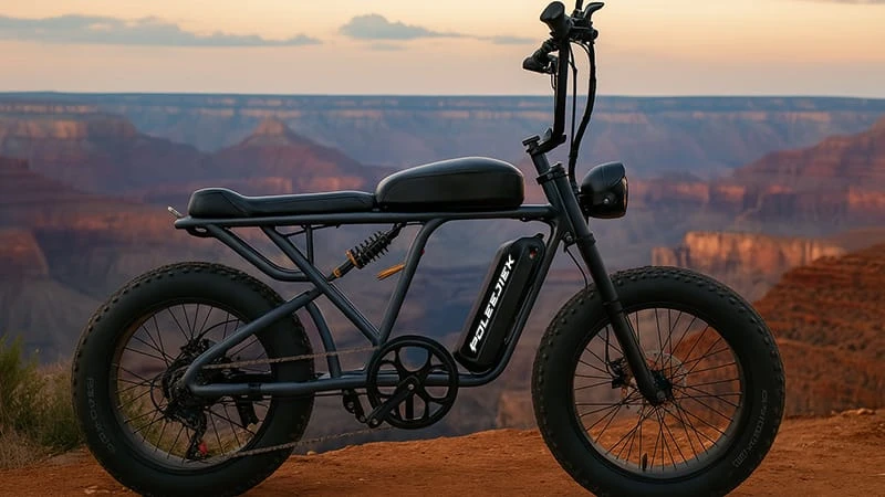 retro electric bike, vintage electric bikes, ebike pedal assist, 250w electric bike, 1000w mid drive ebike, retro style ebike, vintage style electric bike, POLEEJIEK retro e-bikes, electric bikes in Europe, retro fat tire electric bike
